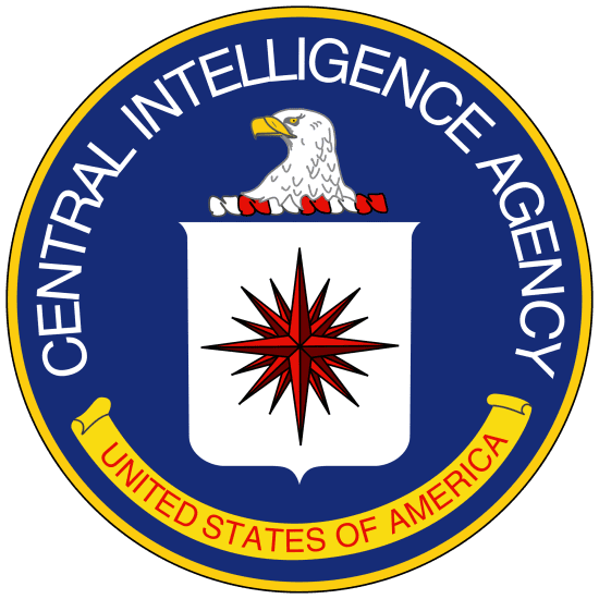 comments on CIA Directorate of Digital Innovation unit