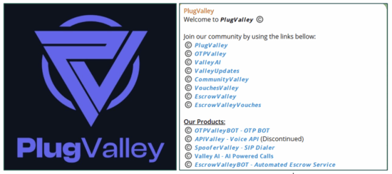 PlugValley Logo and list of product Telegram Channels