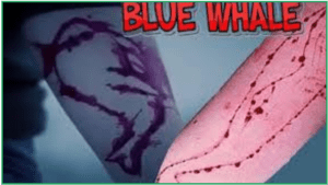 blue whale