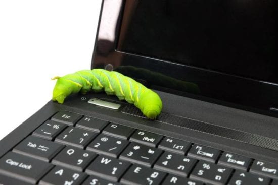 computer worm