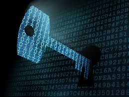 Global encryption report