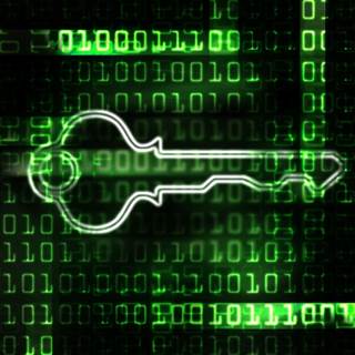 Spy on Encrypted Internet Traffic